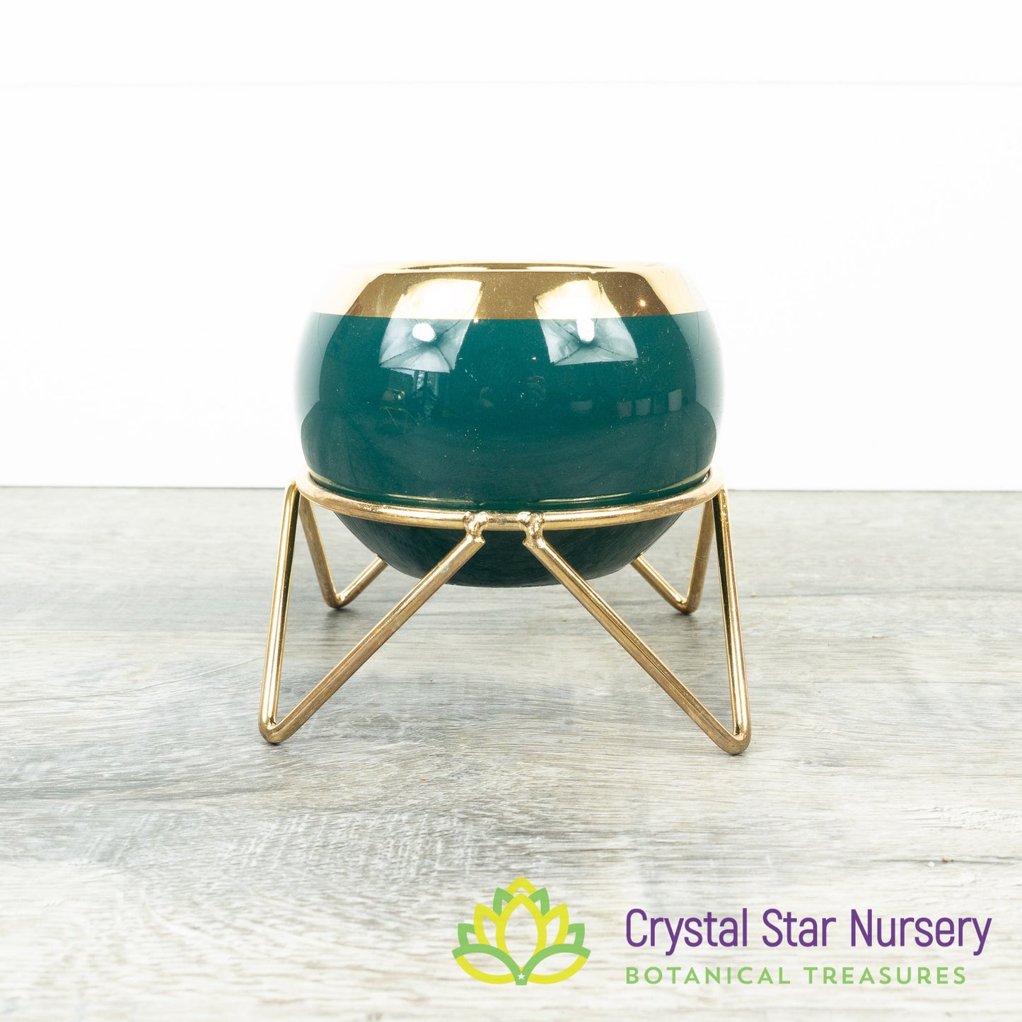 Round Pot with Gold Stand