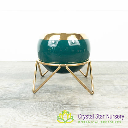 Round Pot with Gold Stand