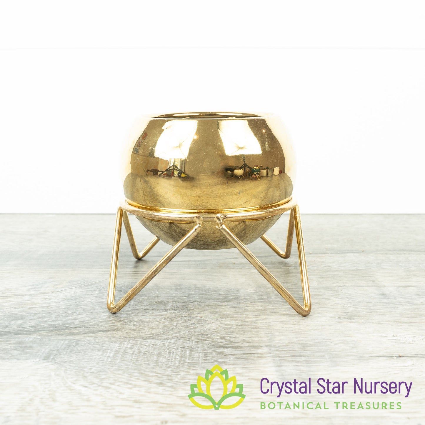 Round Pot with Gold Stand