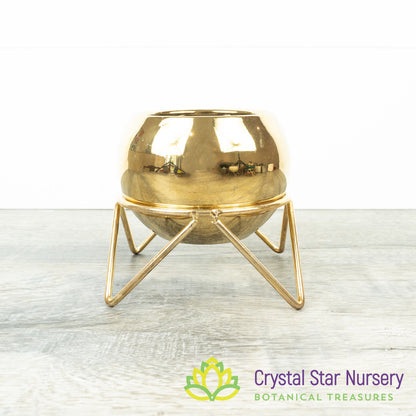 Round Pot with Gold Stand