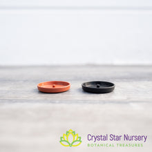 Saucer/Tray for 1" Round Plastic Pot
