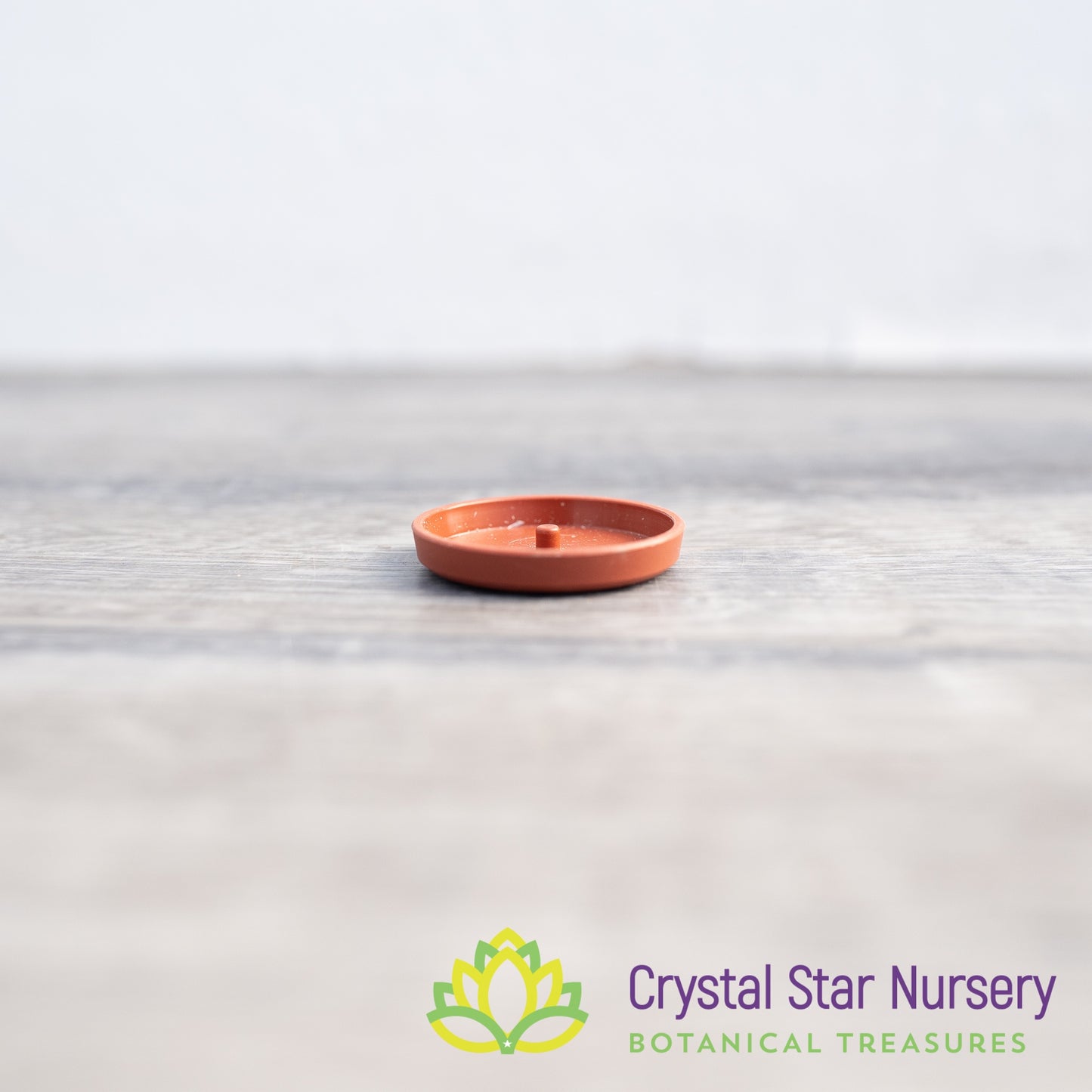Saucer/Tray for 1" Round Plastic Pot