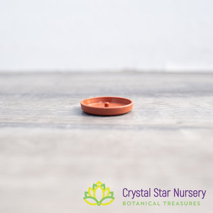 Saucer/Tray for 1" Round Plastic Pot