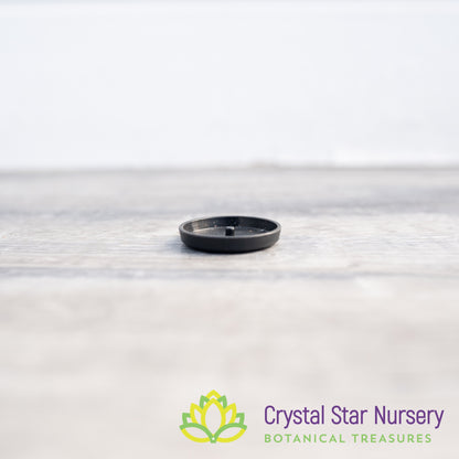 Saucer/Tray for 1" Round Plastic Pot