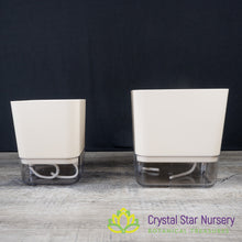 Square Self Watering Pot with Wick