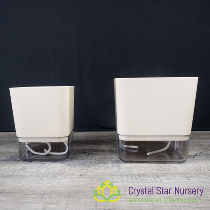 Square Self Watering Pot with Wick