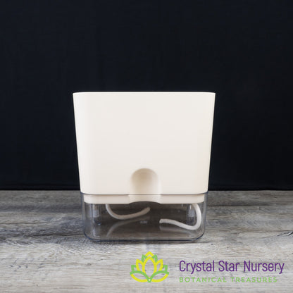 Square Self Watering Pot with Wick