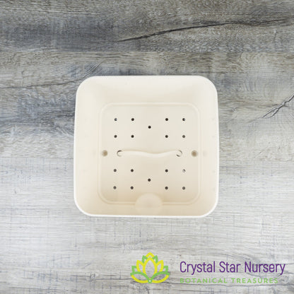 Square Self Watering Pot with Wick