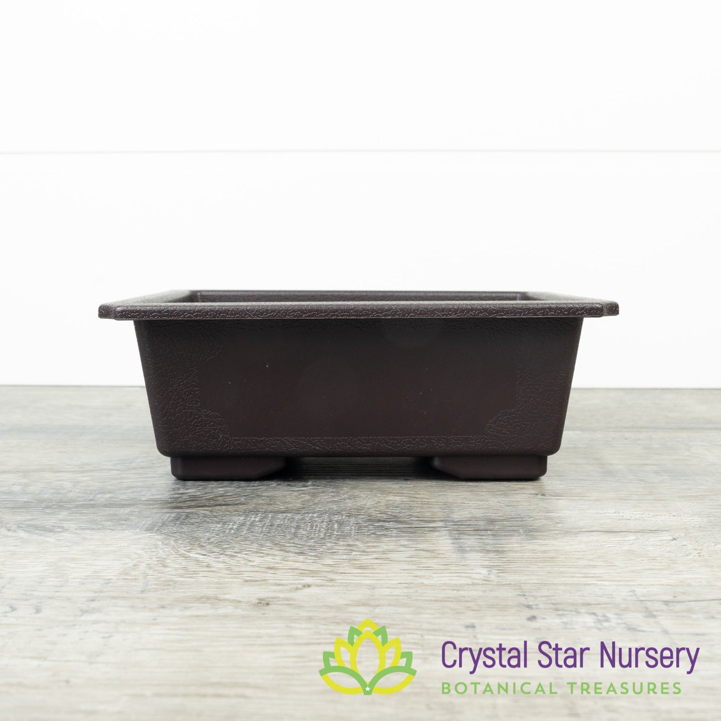 Rectangular Bonsai Training Pot