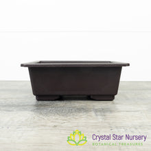 Rectangular Bonsai Training Pot