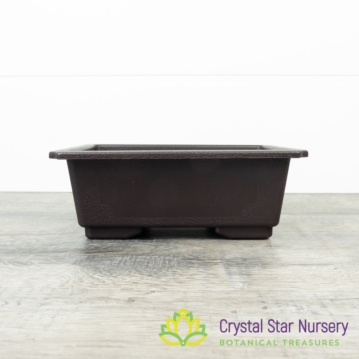 Rectangular Bonsai Training Pot