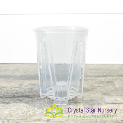 Tall Clear Vented Pots