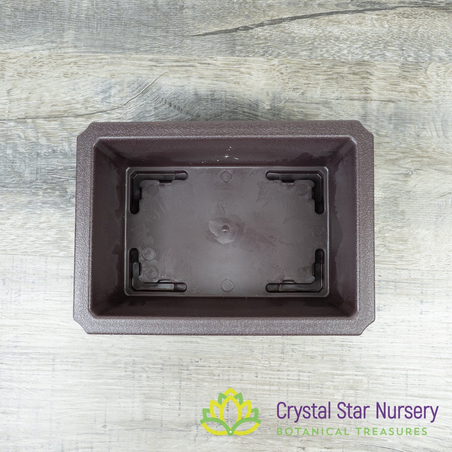 Rectangular Bonsai Training Pot