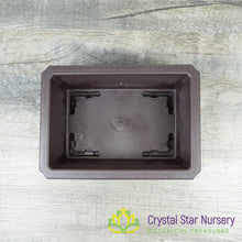 Rectangular Bonsai Training Pot