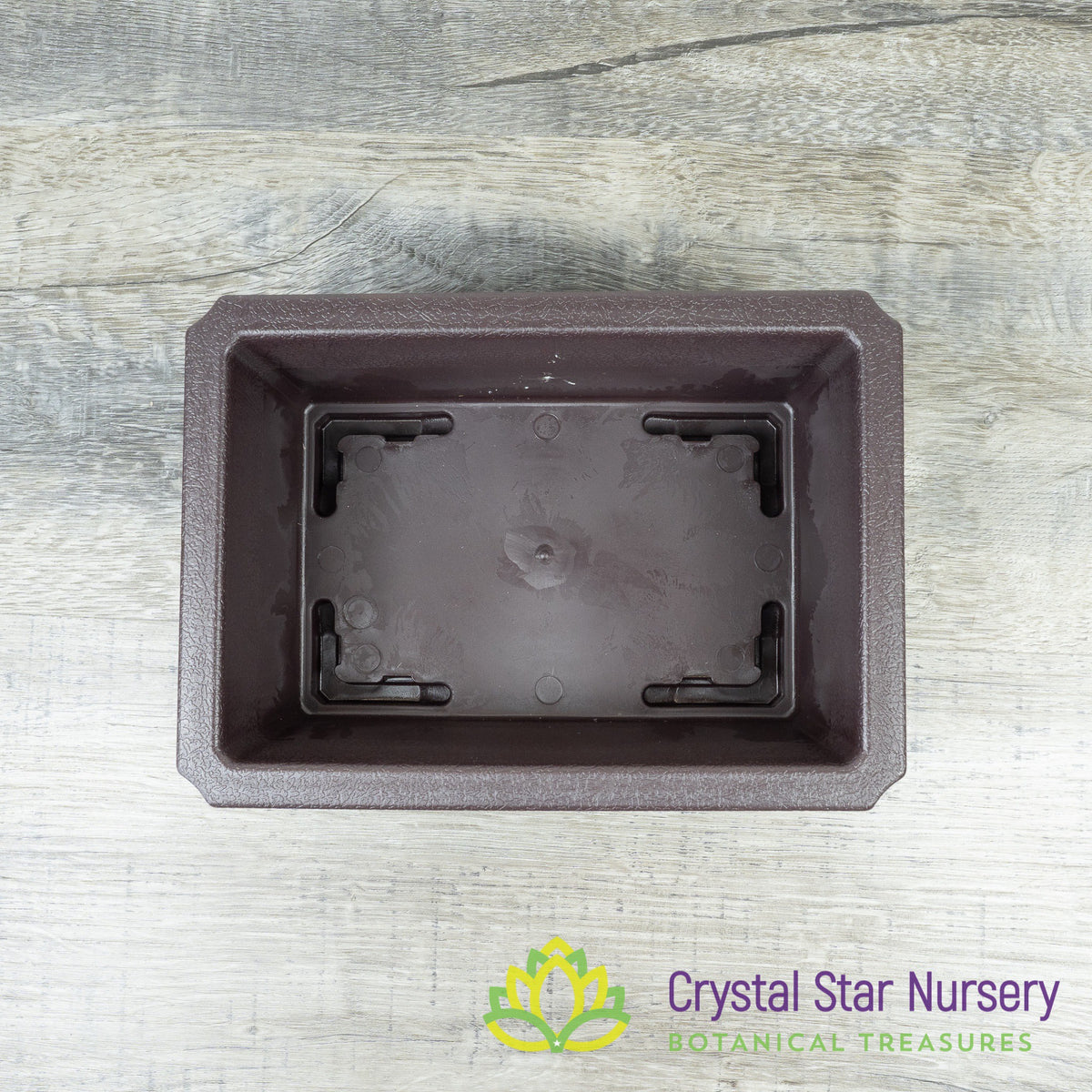 Rectangular Bonsai Training Pot