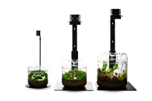 Bioloark Dew/Luji Cups