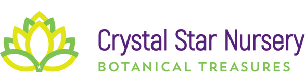Crystal Star Nursery