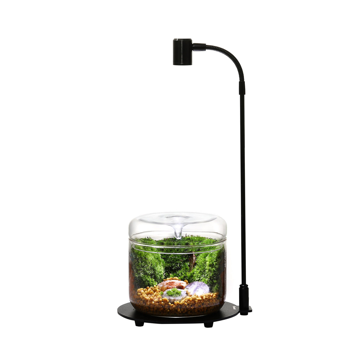 Bioloark Bottle Lamp Stand