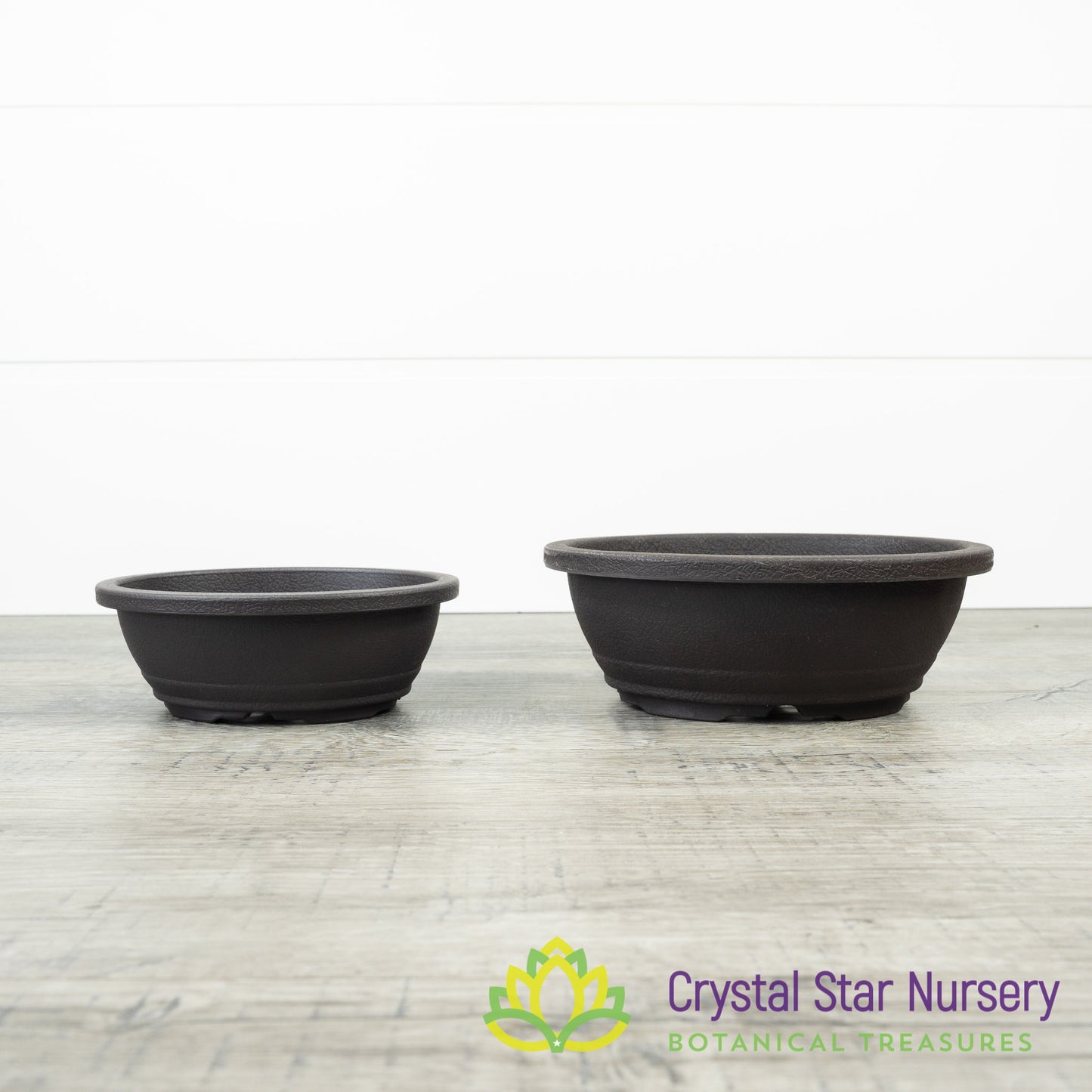 Brown Oval Plastic Bonsai Training Pot