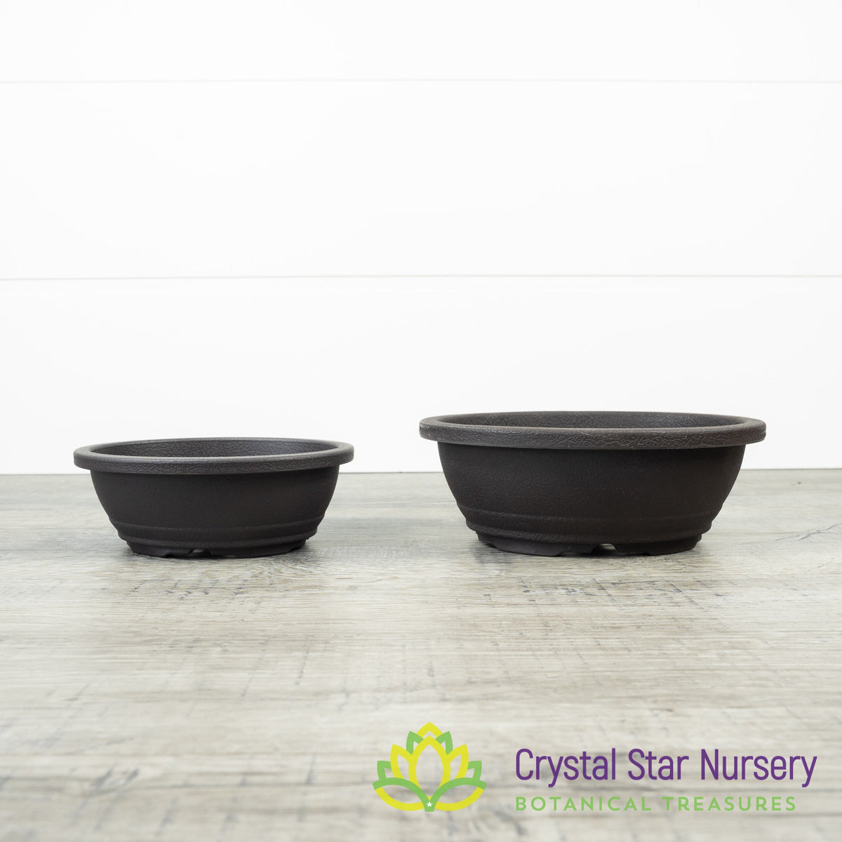 Brown Oval Plastic Bonsai Training Pot