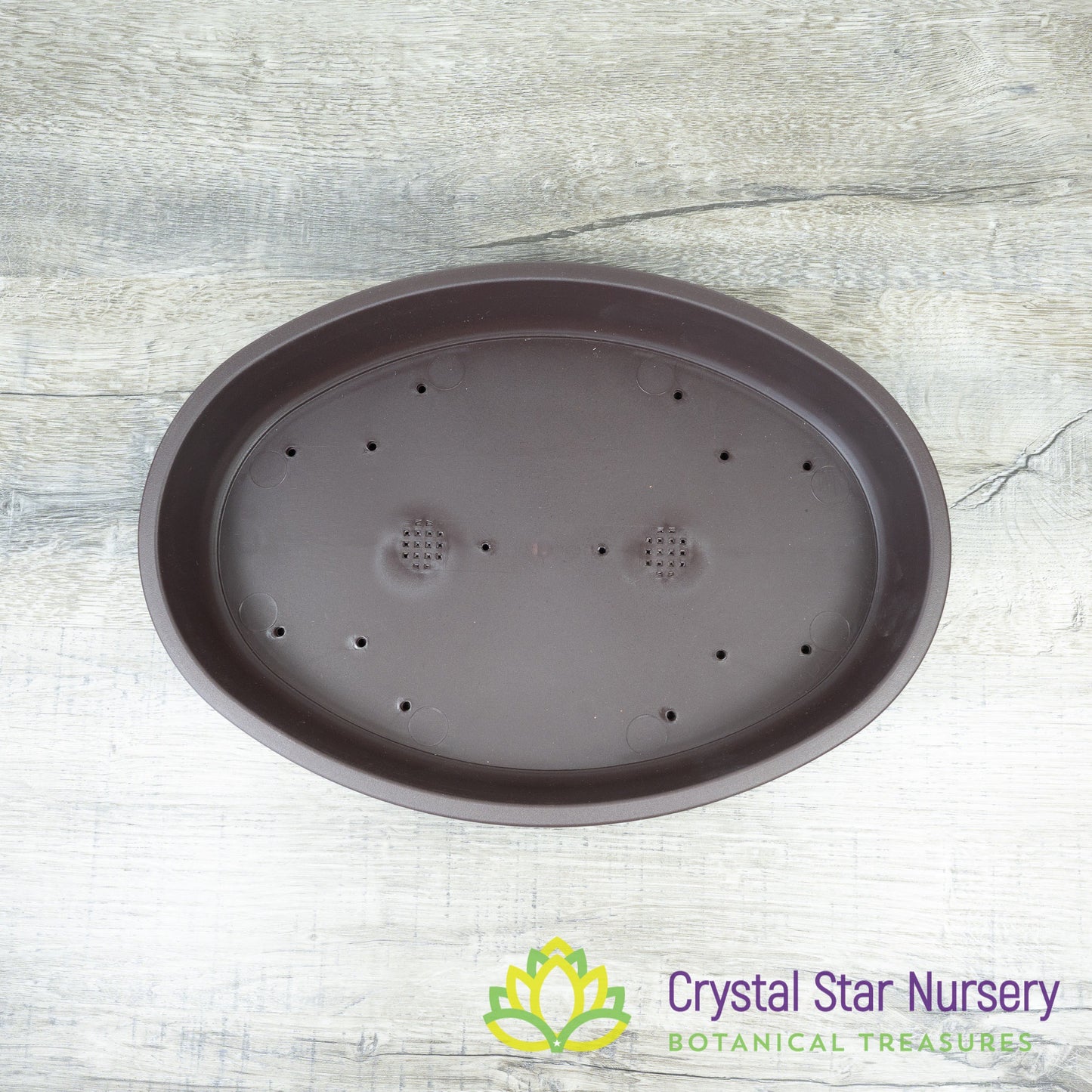Shallow Large Oval Bonsai Training Pot