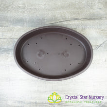 Shallow Large Oval Bonsai Training Pot