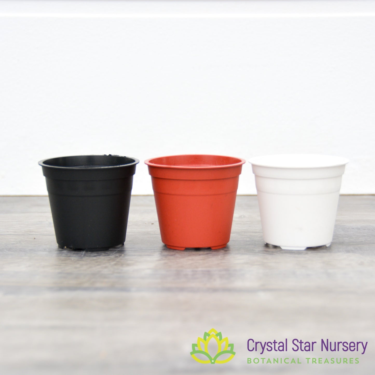 2" Round Plastic Pot