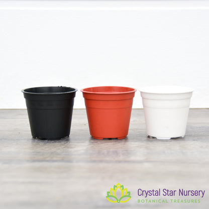 2" Round Plastic Pot