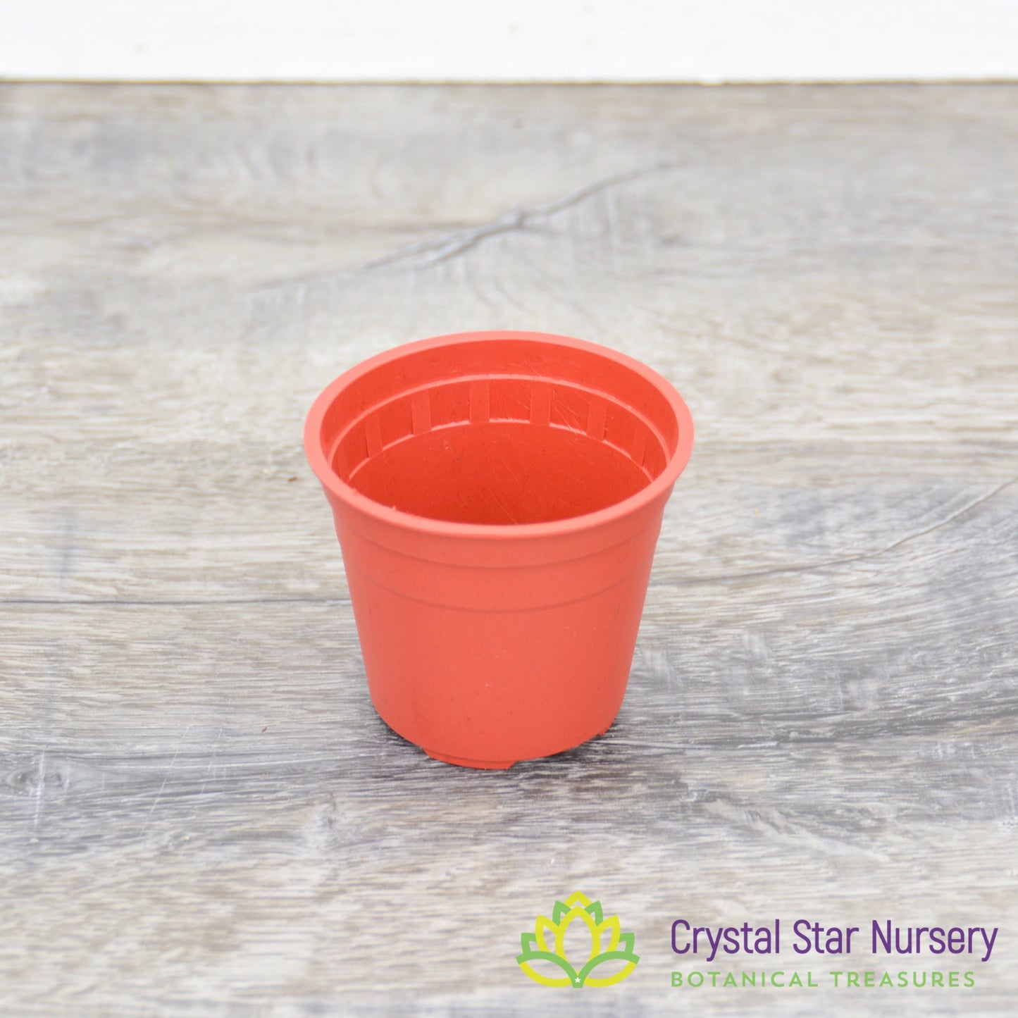 2" Round Plastic Pot