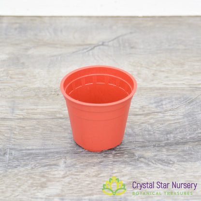 2" Round Plastic Pot