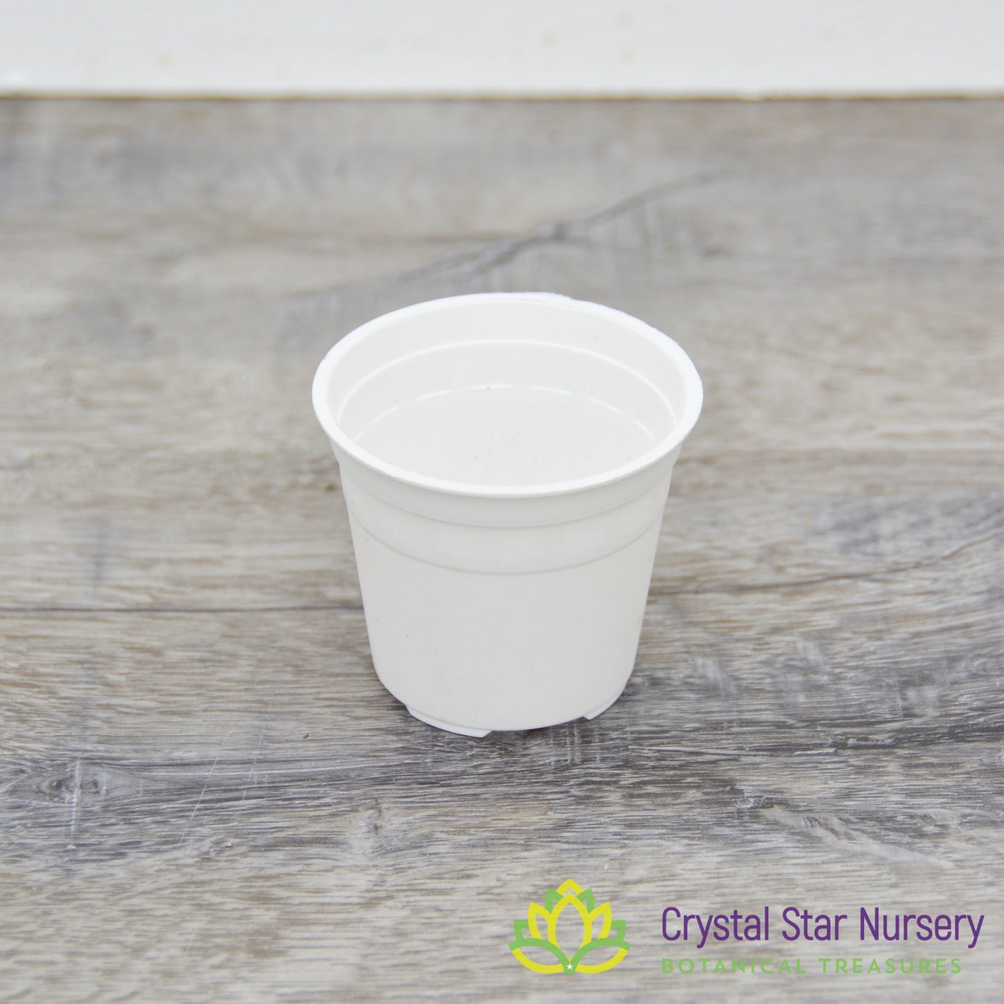 2" Round Plastic Pot