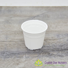 2" Round Plastic Pot