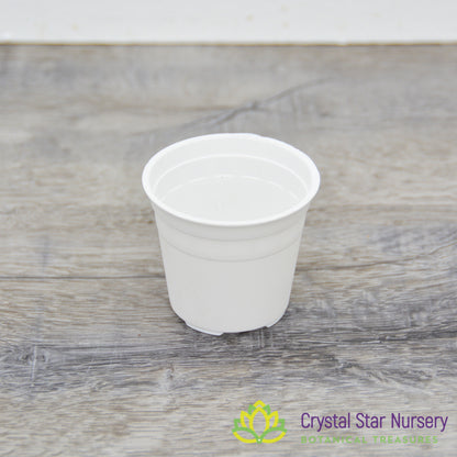 2" Round Plastic Pot