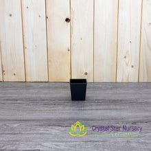 Square Plastic Pot