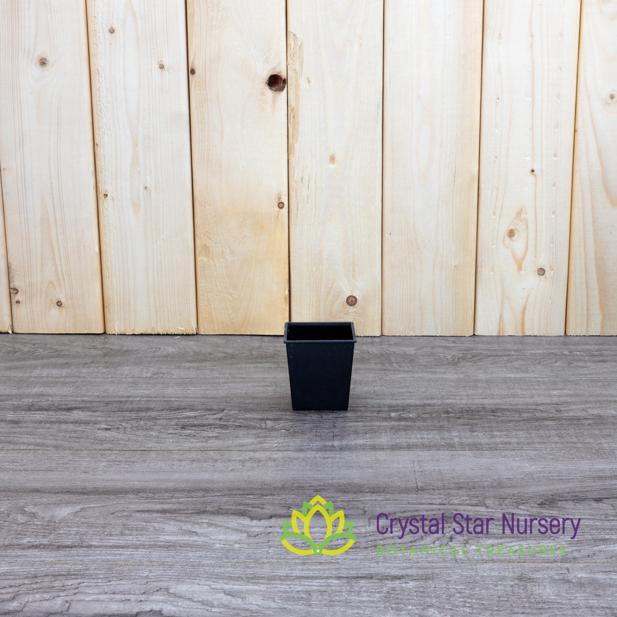 Square Plastic Pot