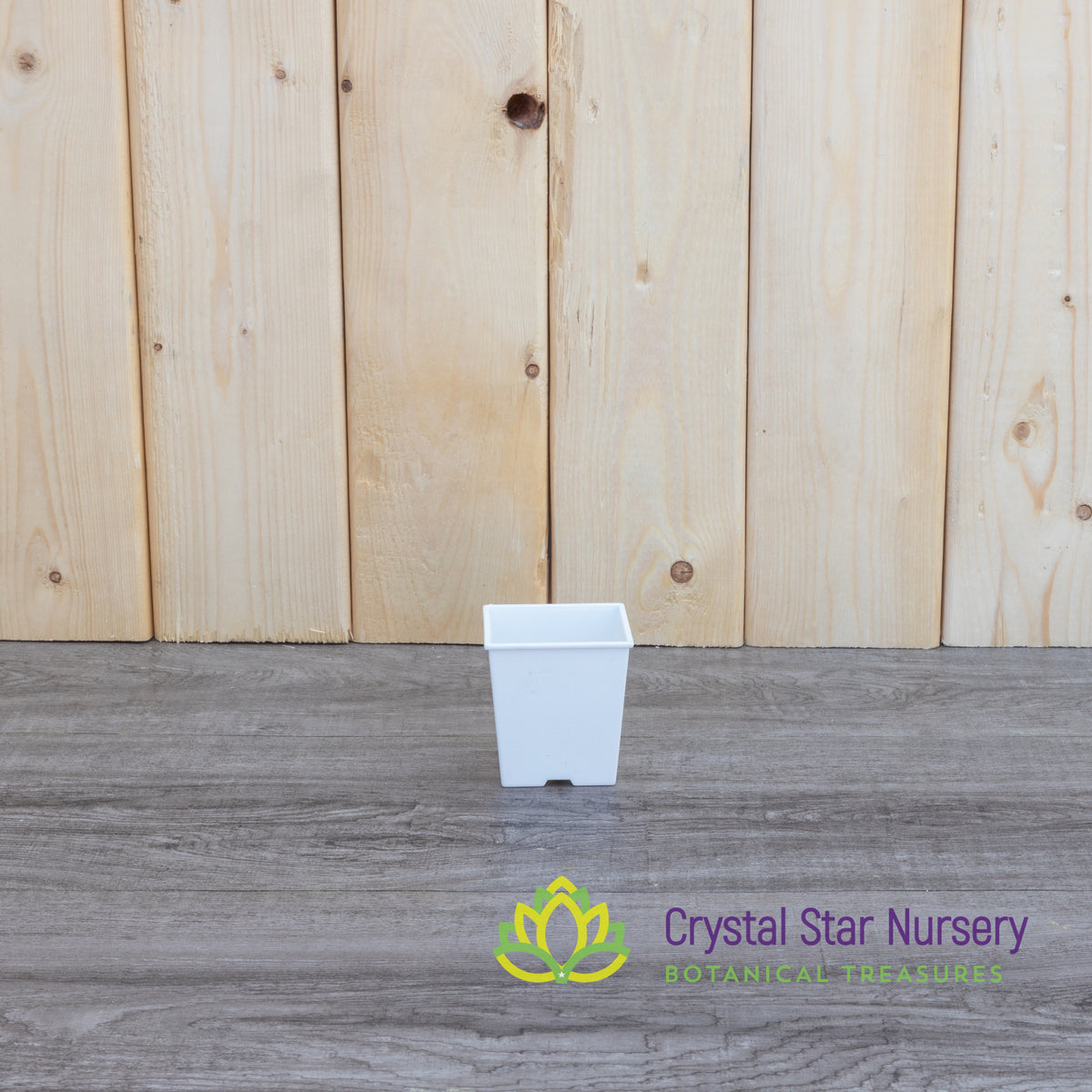 Square Plastic Pot