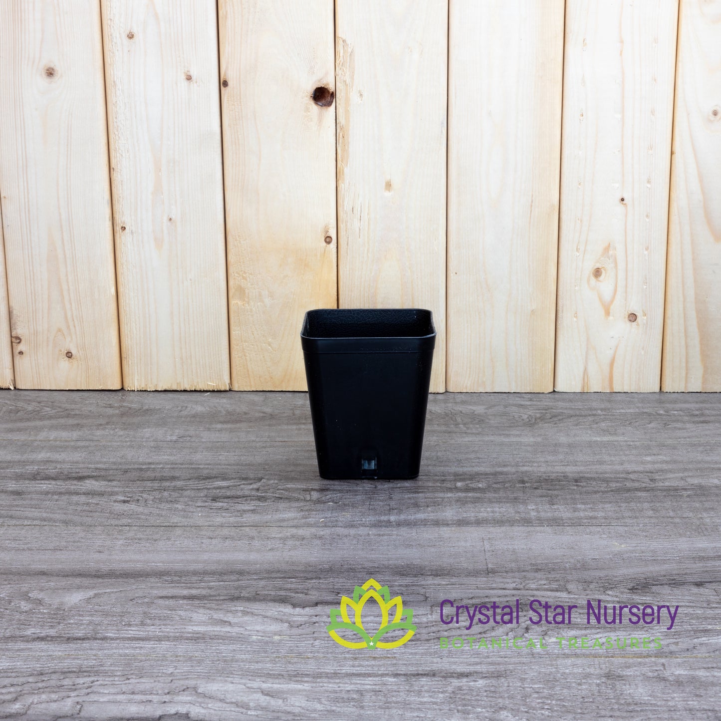 Square Cone Bottom Plastic Pots