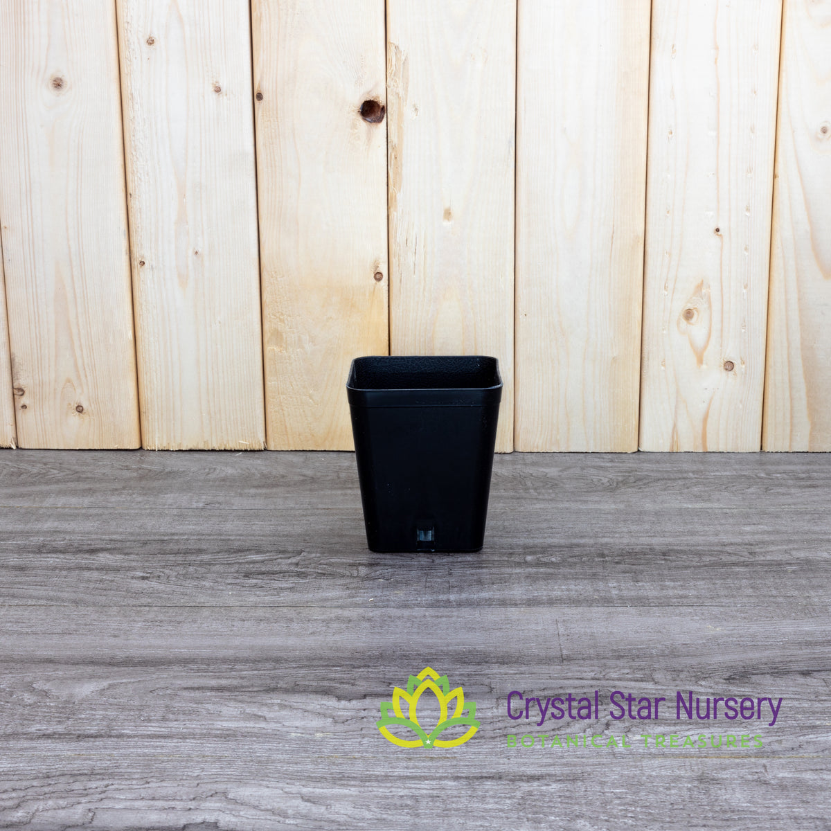Square Cone Bottom Plastic Pots