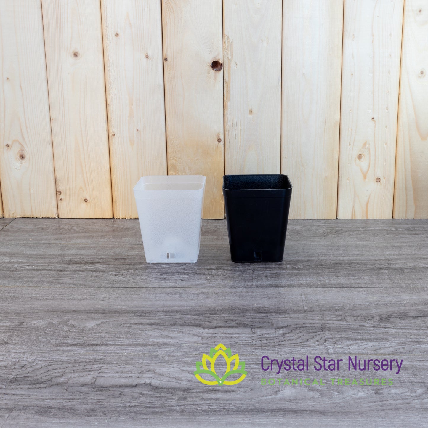 Square Cone Bottom Plastic Pots