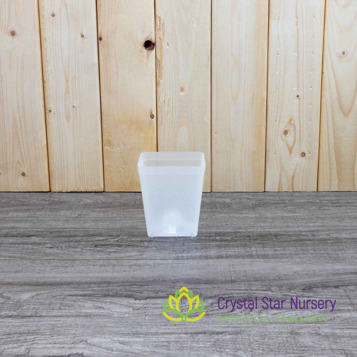 Square Cone Bottom Plastic Pots