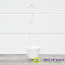 3" Decorative Hanging Basket Plastic Pots