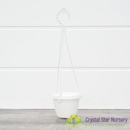 3" Decorative Hanging Basket Plastic Pots