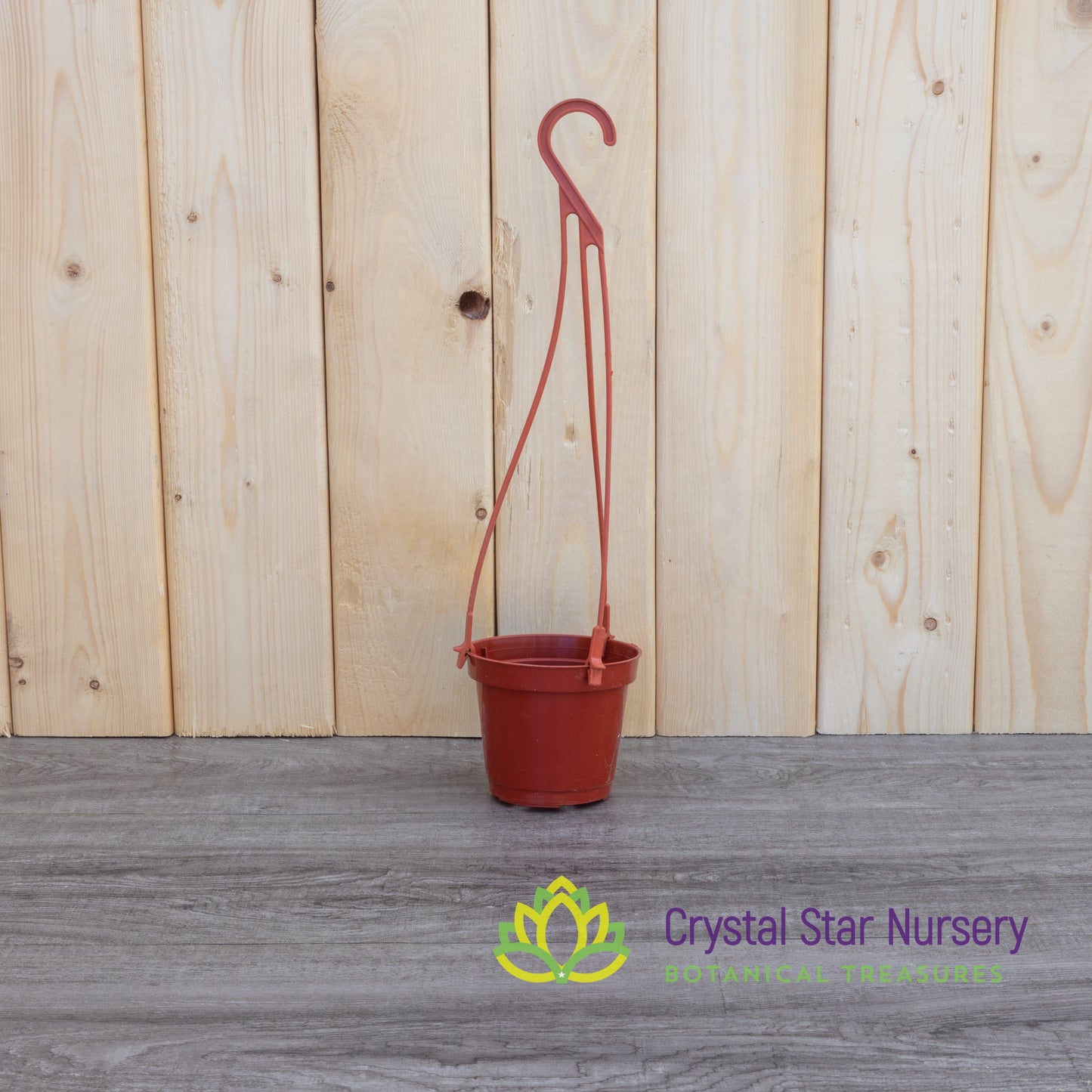 Hanging Basket Plastic Pot