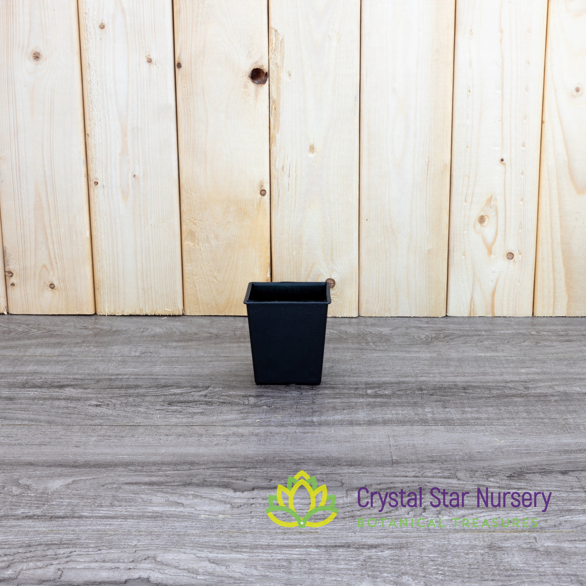 Square Plastic Pot