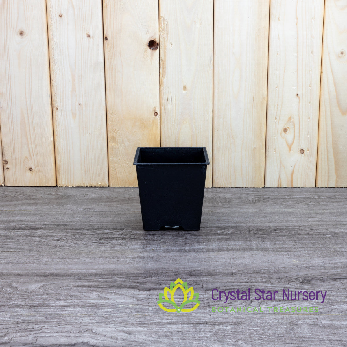 Square Plastic Pot