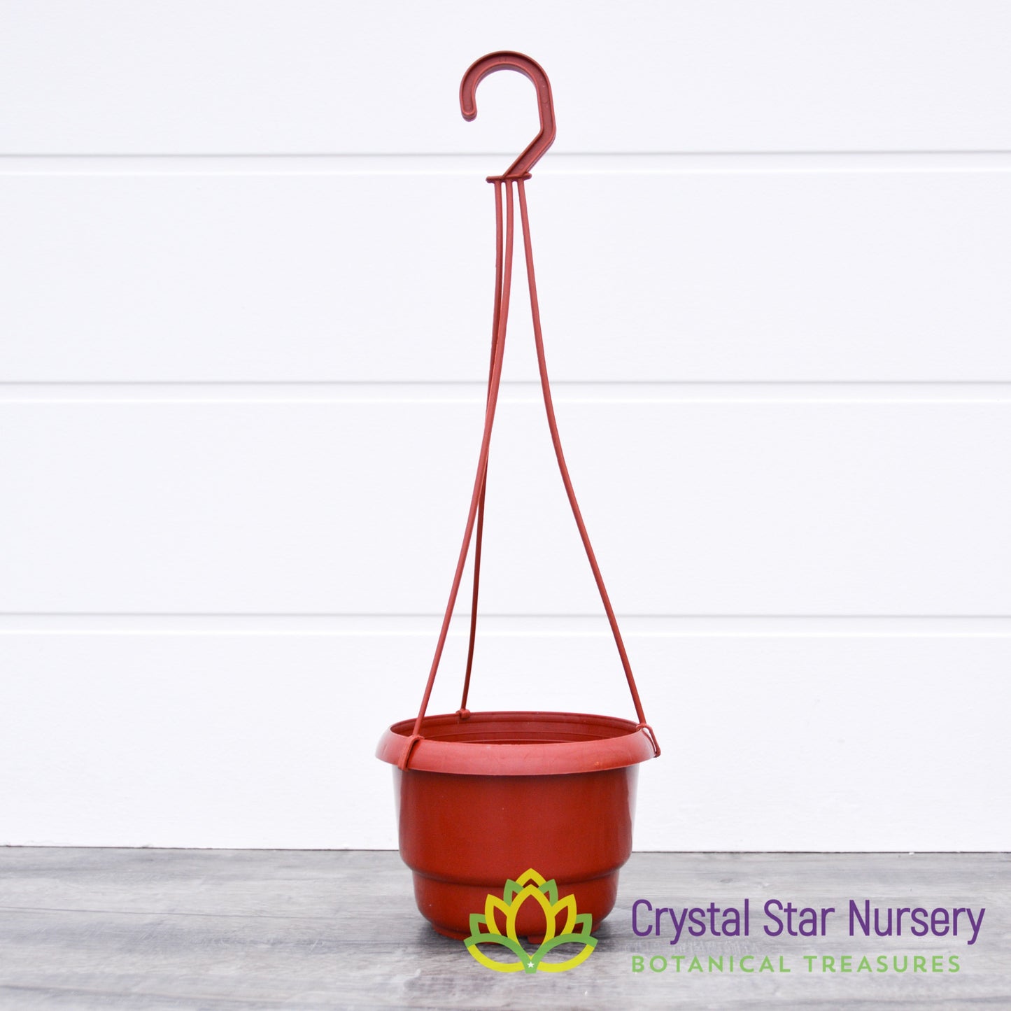 5" Hanging Pot with Long Hanger