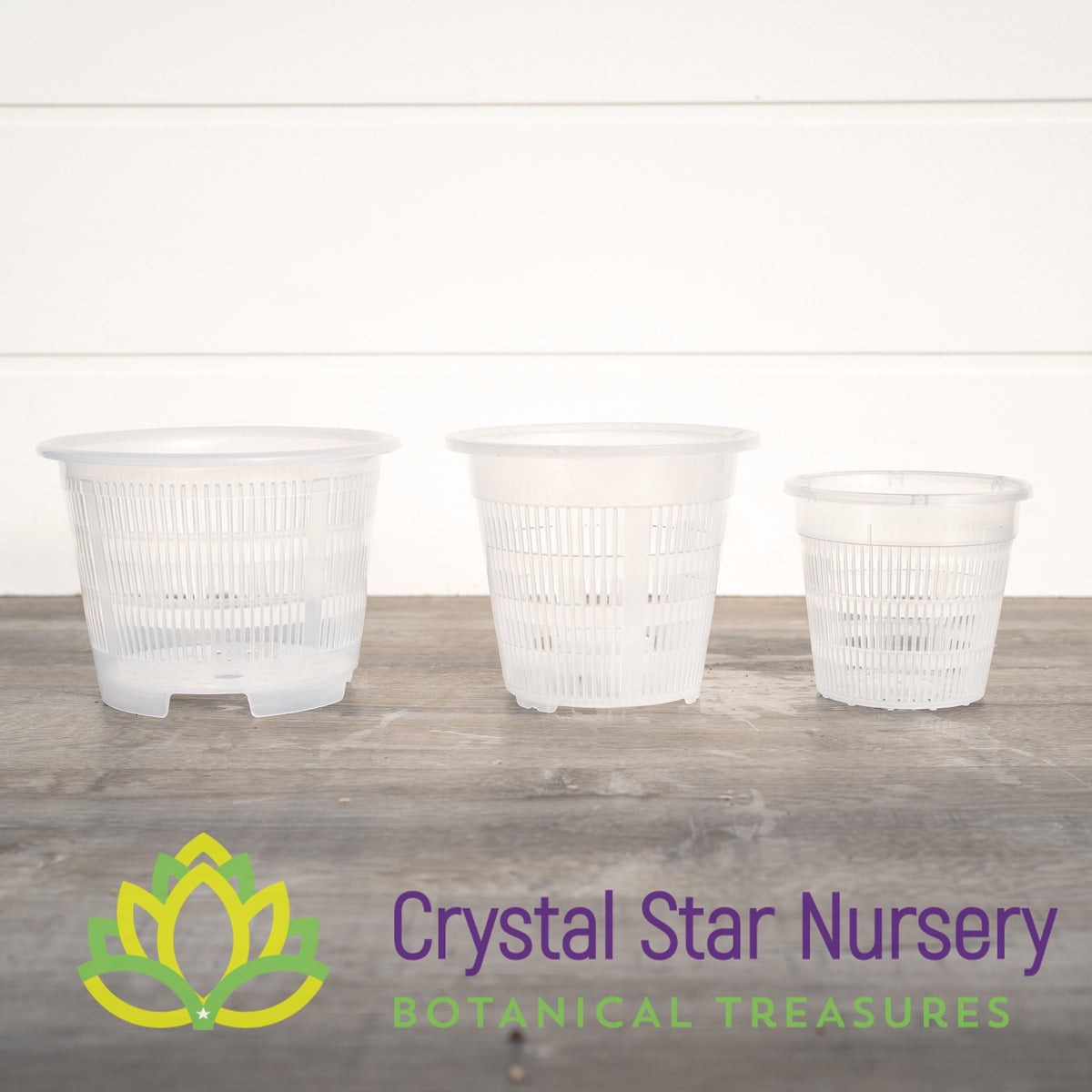 Clear Net Pots