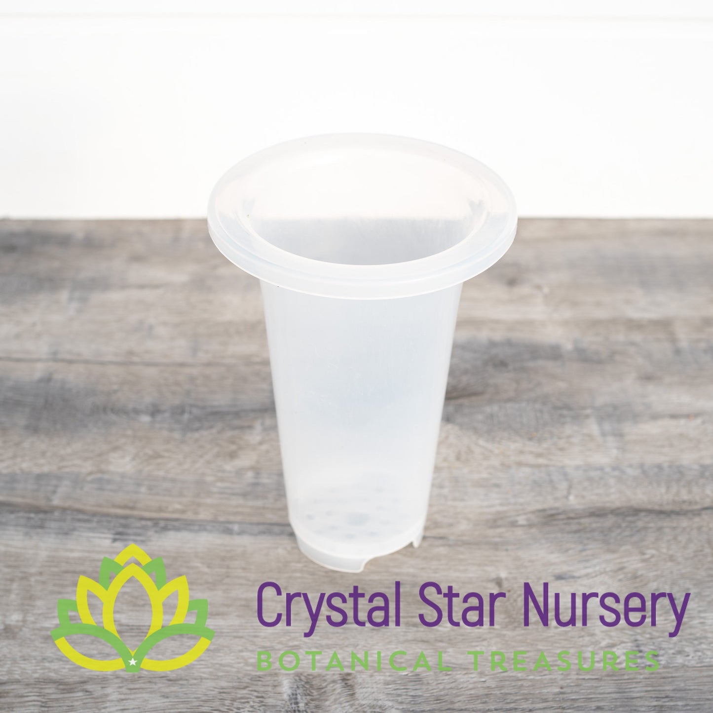 Clear Tall Cymbidium Pot
