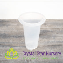 Clear Tall Cymbidium Pot