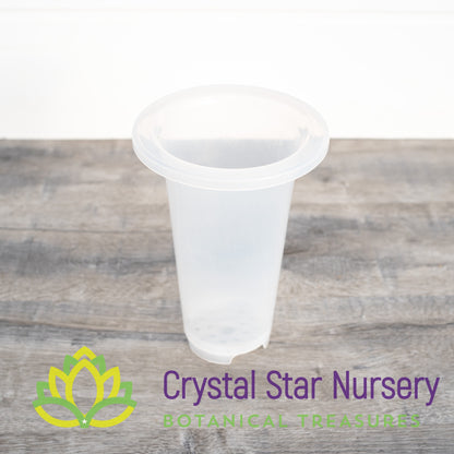 Clear Tall Cymbidium Pot